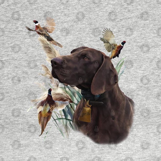 German Shorthaired Pointer and beautiful pheasants by German Wirehaired Pointer 